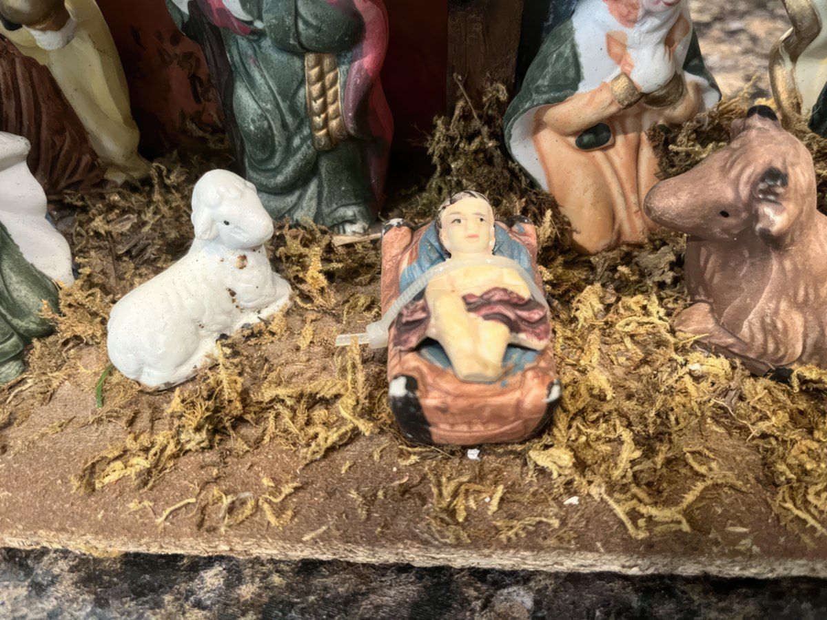 Gewoon een verzameling hilarische foto's #1846