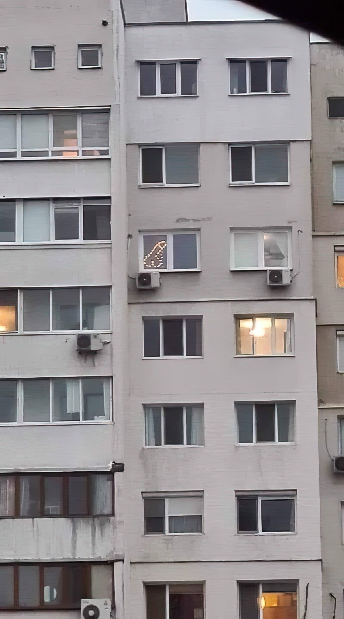 Gewoon een verzameling hilarische foto's #1846