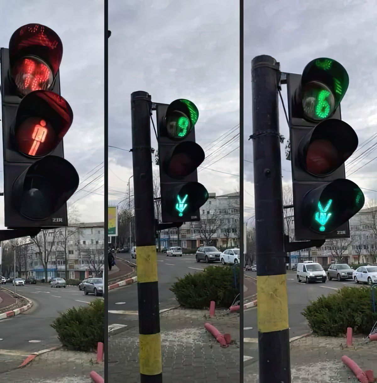 Gewoon een verzameling hilarische foto's #1846