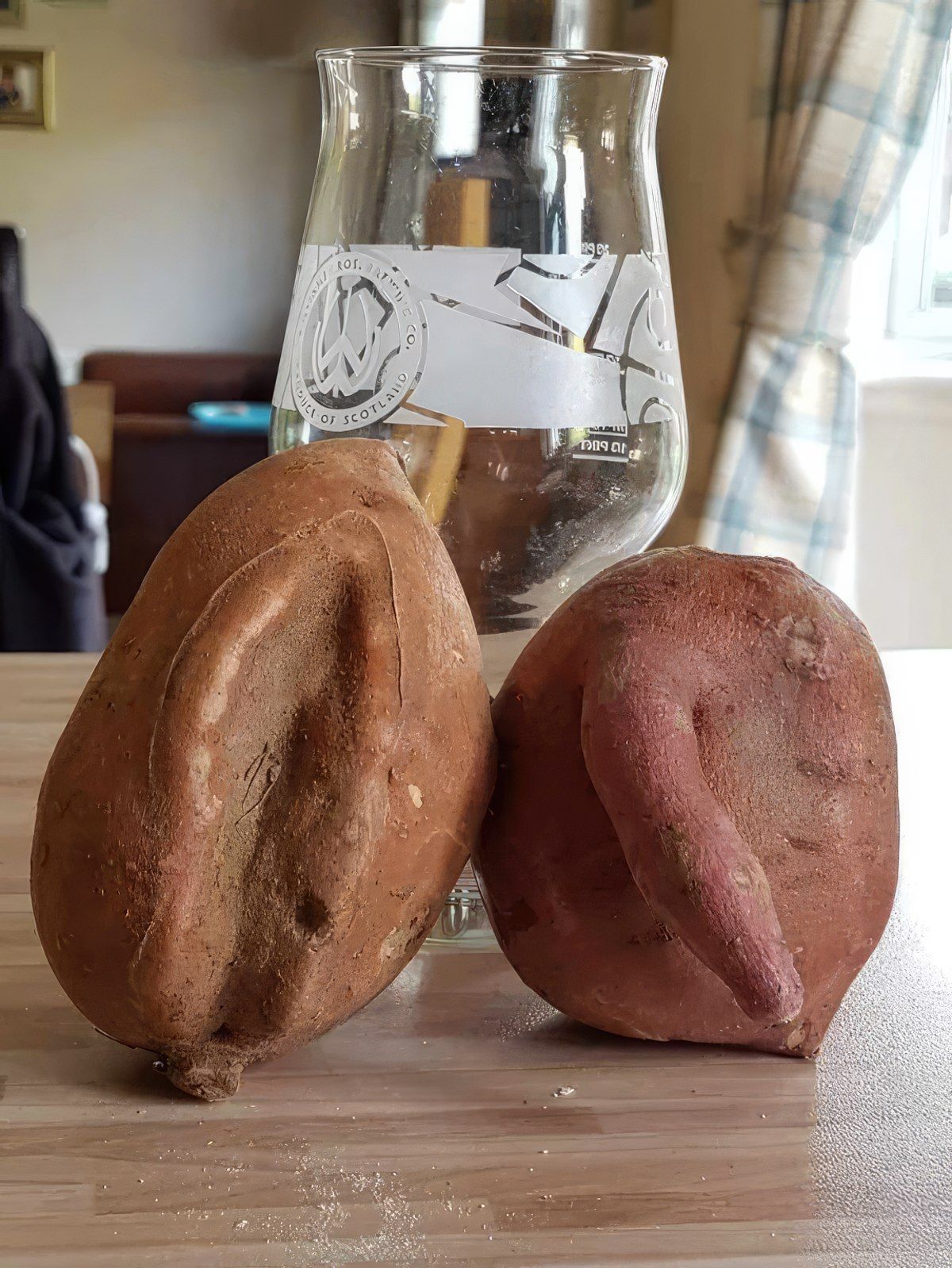 Gewoon een verzameling hilarische foto's #1847