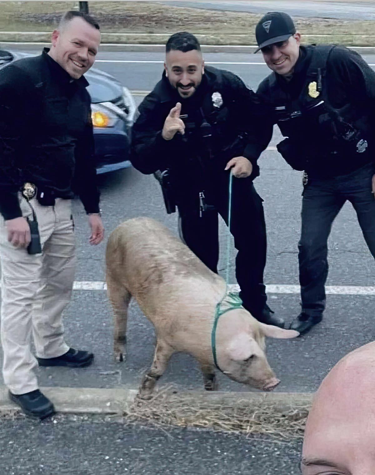 Gewoon een verzameling hilarische foto's #1848