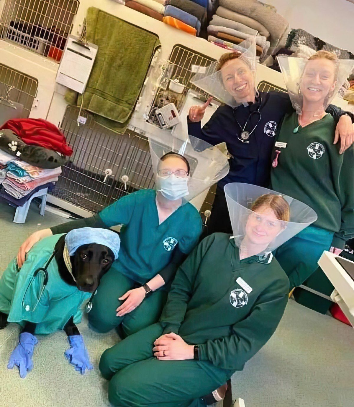 Gewoon een verzameling hilarische foto's #1850