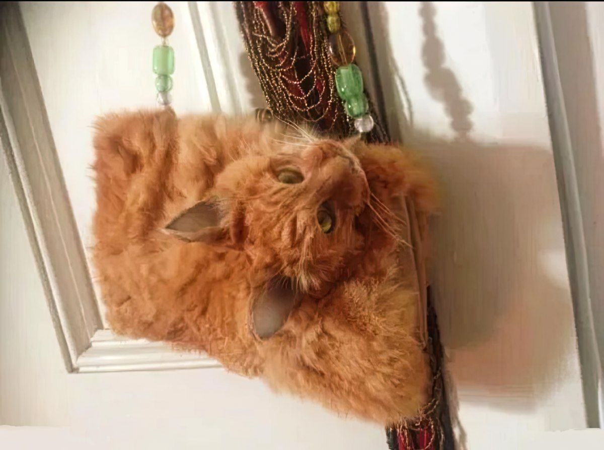 Gewoon een verzameling hilarische foto's #1852