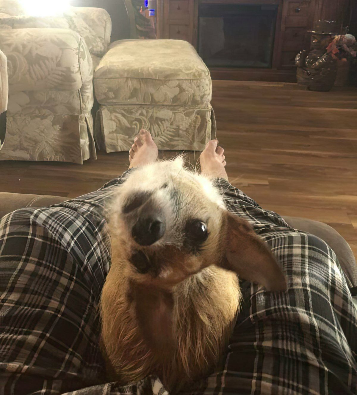 Gewoon een verzameling hilarische foto's #1852