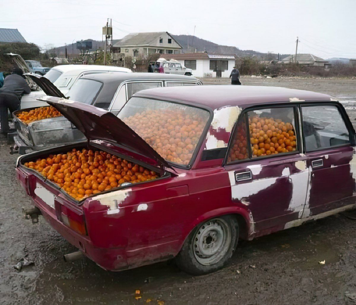 Gewoon een verzameling hilarische foto's #1852