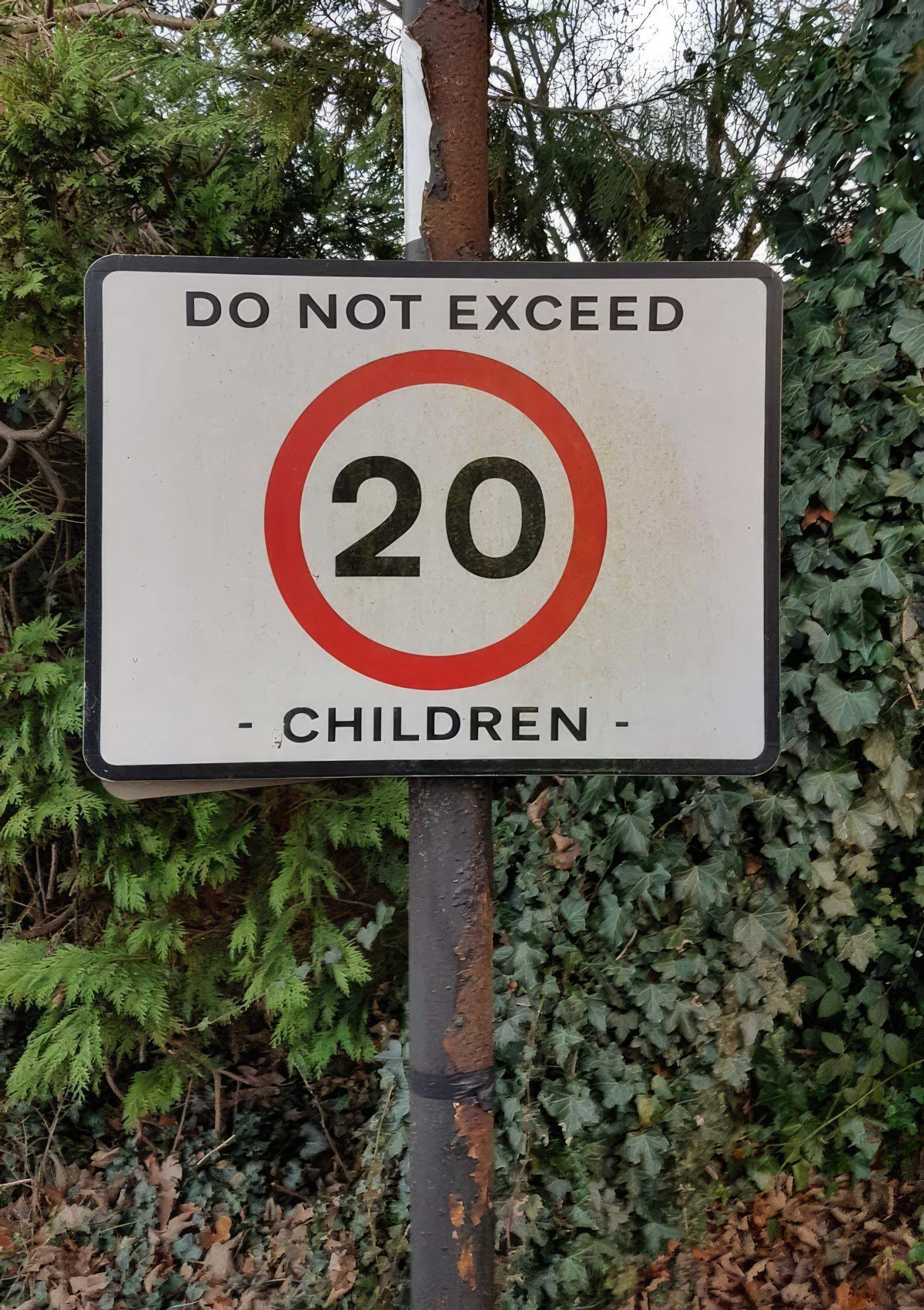 Gewoon een verzameling hilarische foto's #1852