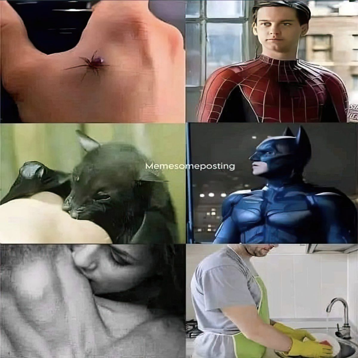 Gewoon een verzameling hilarische foto's #1852