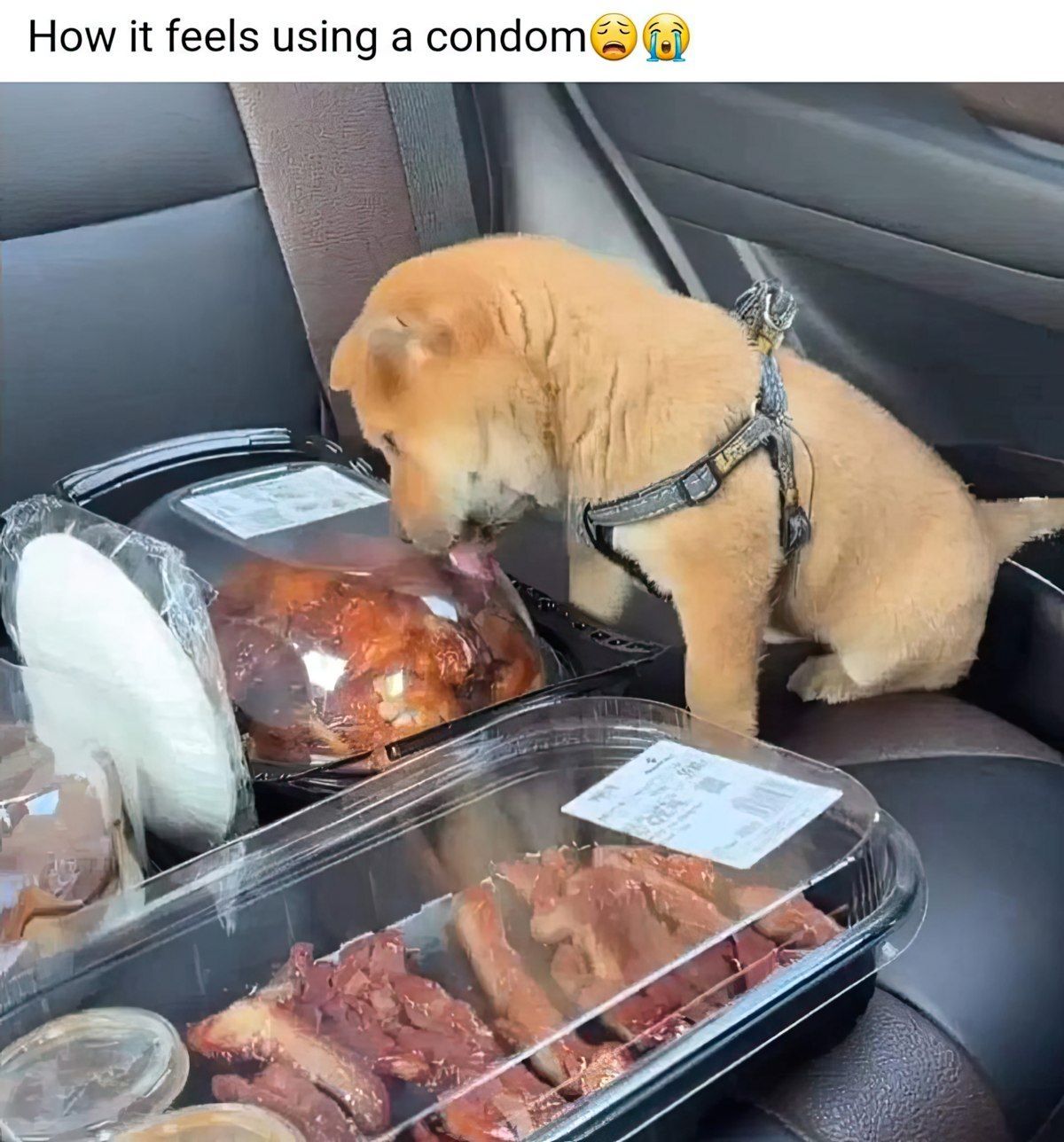 Gewoon een verzameling hilarische foto's #1852