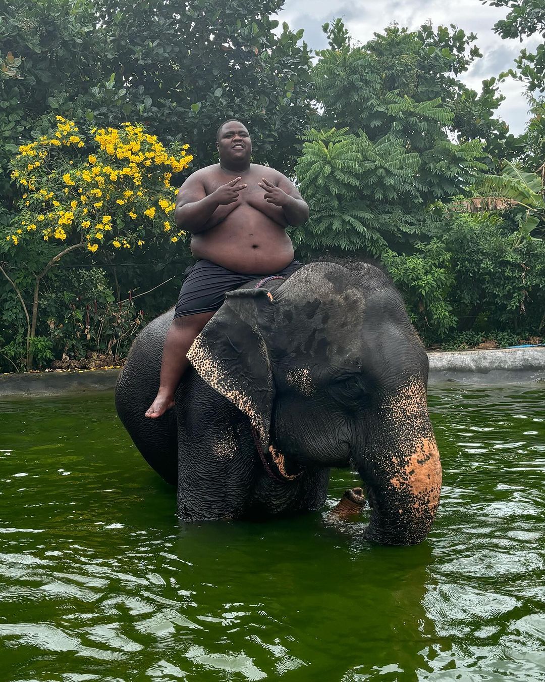 Bigidagoe neemt in Thailand plaats op een olifant en daar vinden mensen wat van