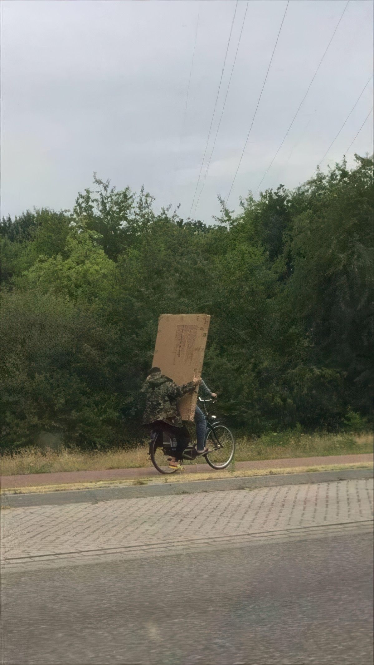 Gewoon een verzameling hilarische foto's #1945