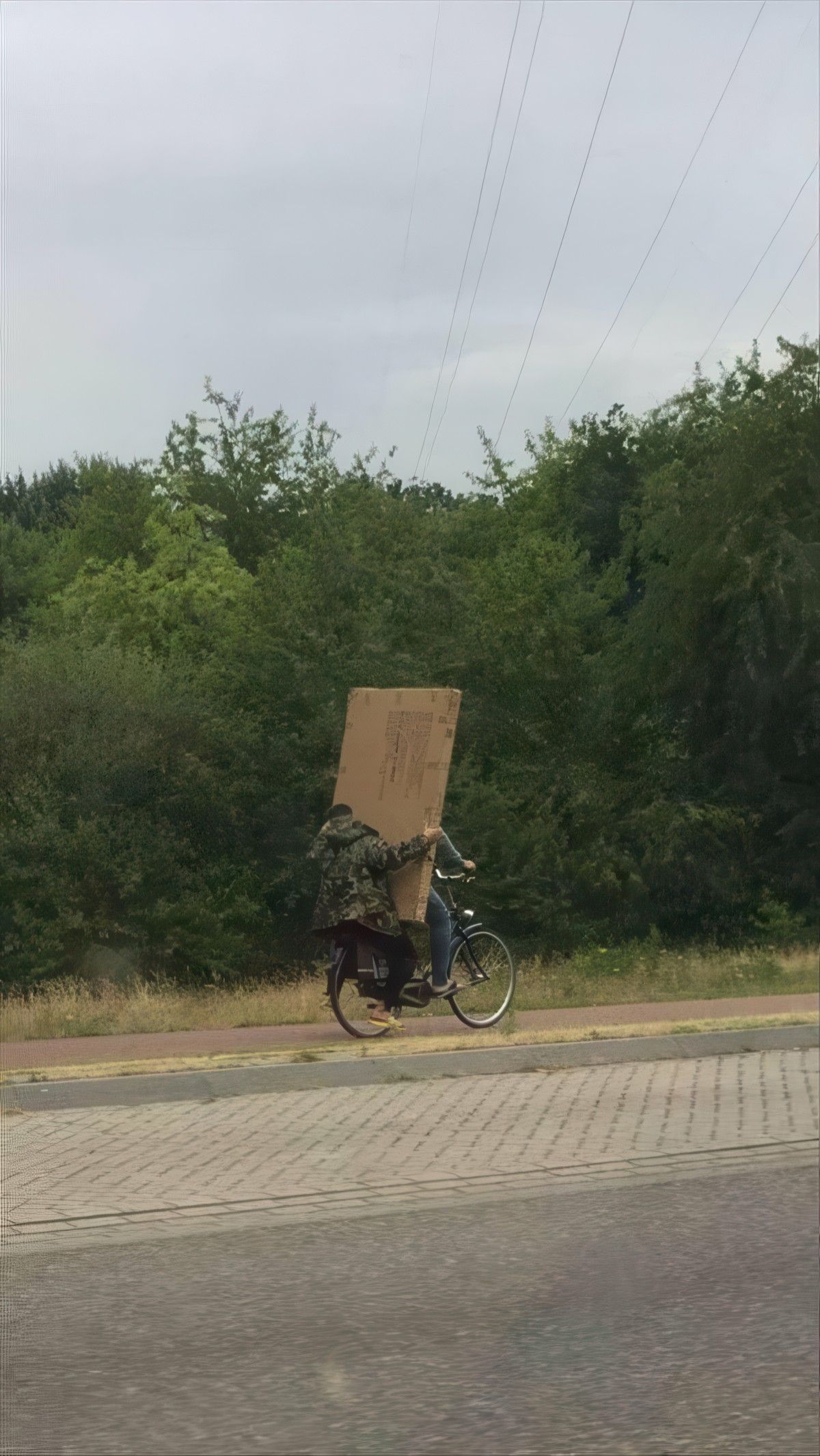 Gewoon een verzameling hilarische foto's #1982