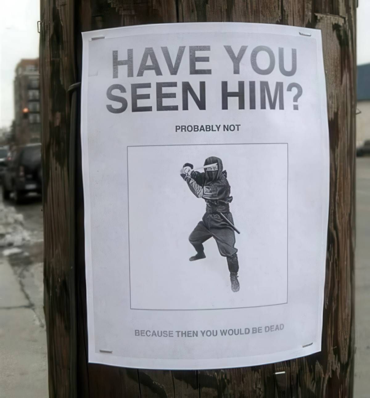 Gewoon een verzameling hilarische foto's #2041