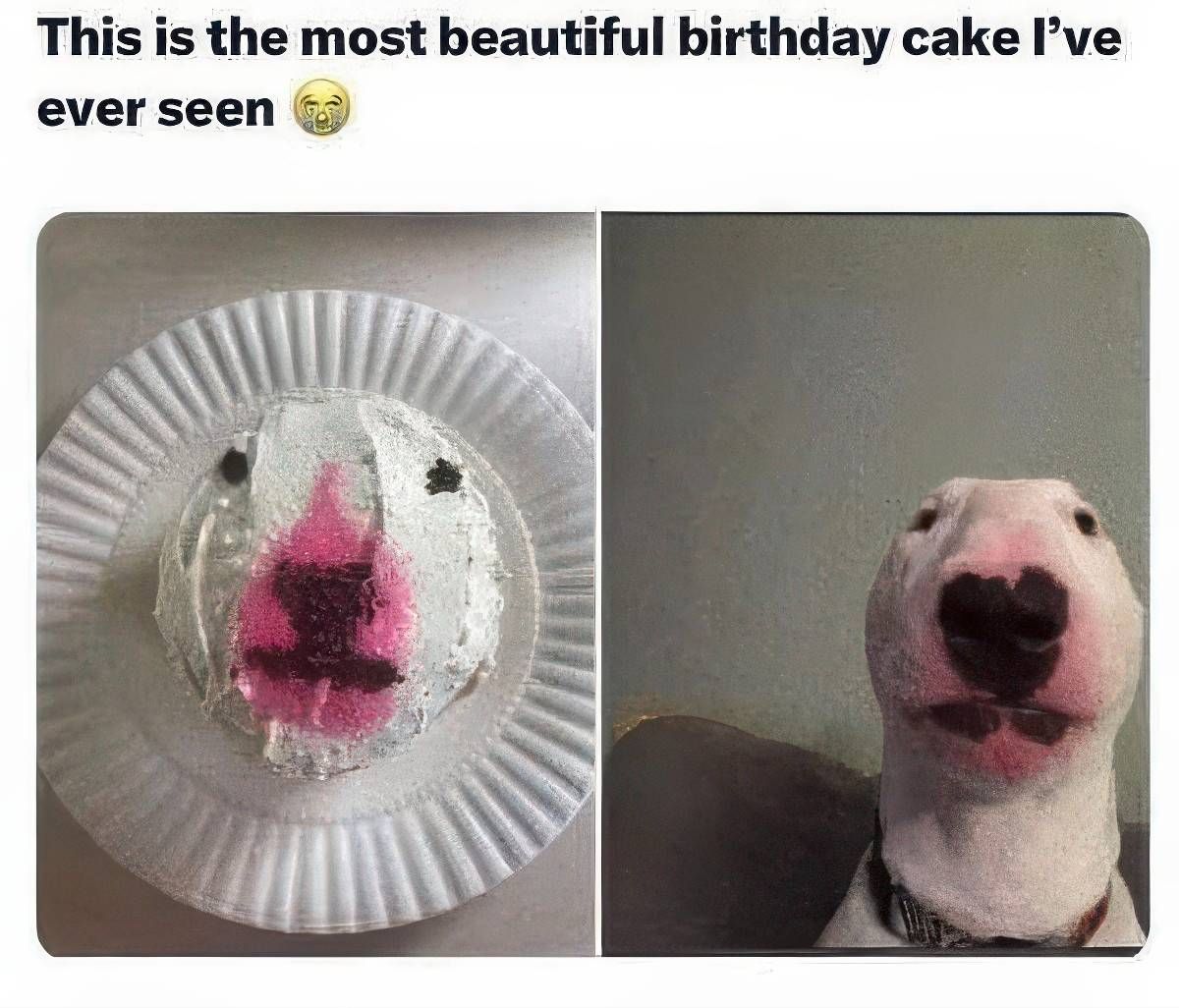 Gewoon een verzameling hilarische foto's #2041