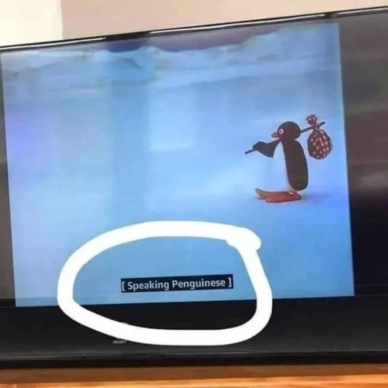 Gewoon een verzameling hilarische foto's #2060
