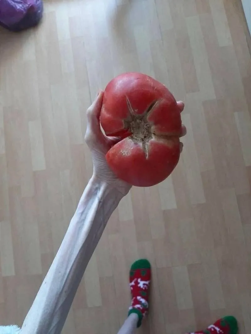 Gewoon een verzameling hilarische foto's #2060