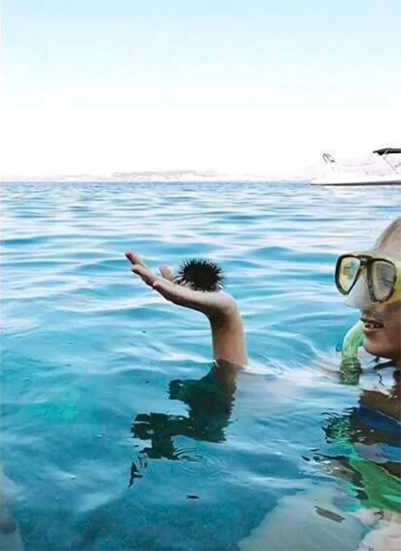 Gewoon een verzameling hilarische foto's #2060