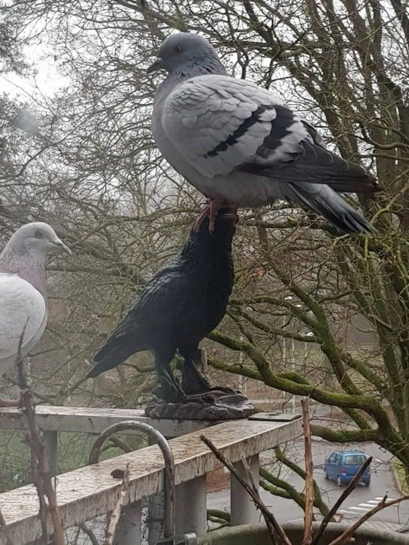 Gewoon een verzameling hilarische foto's #2061