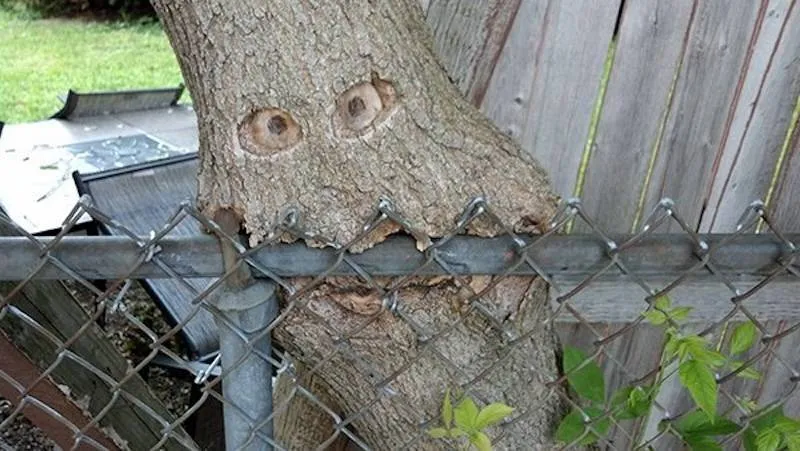 Gewoon een verzameling hilarische foto's #2059