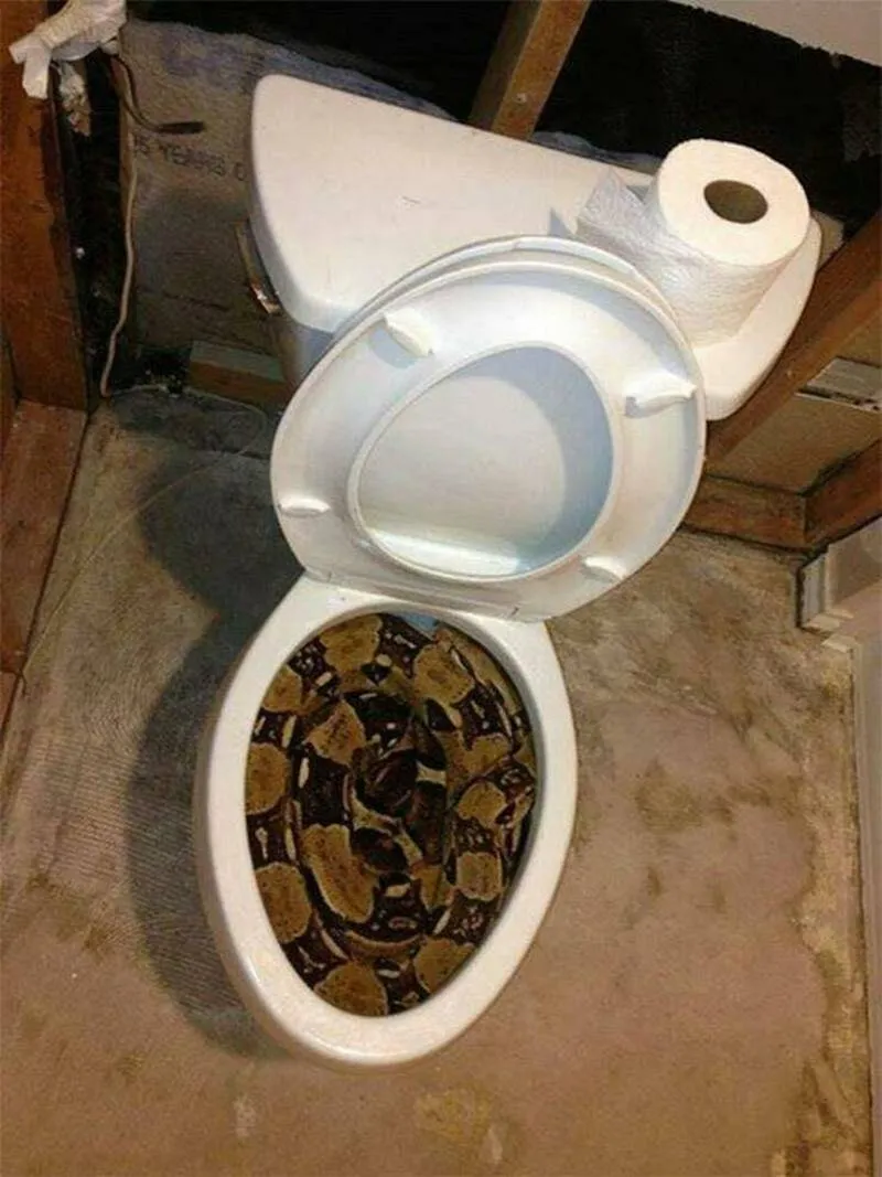 Gewoon een verzameling hilarische foto's #2061