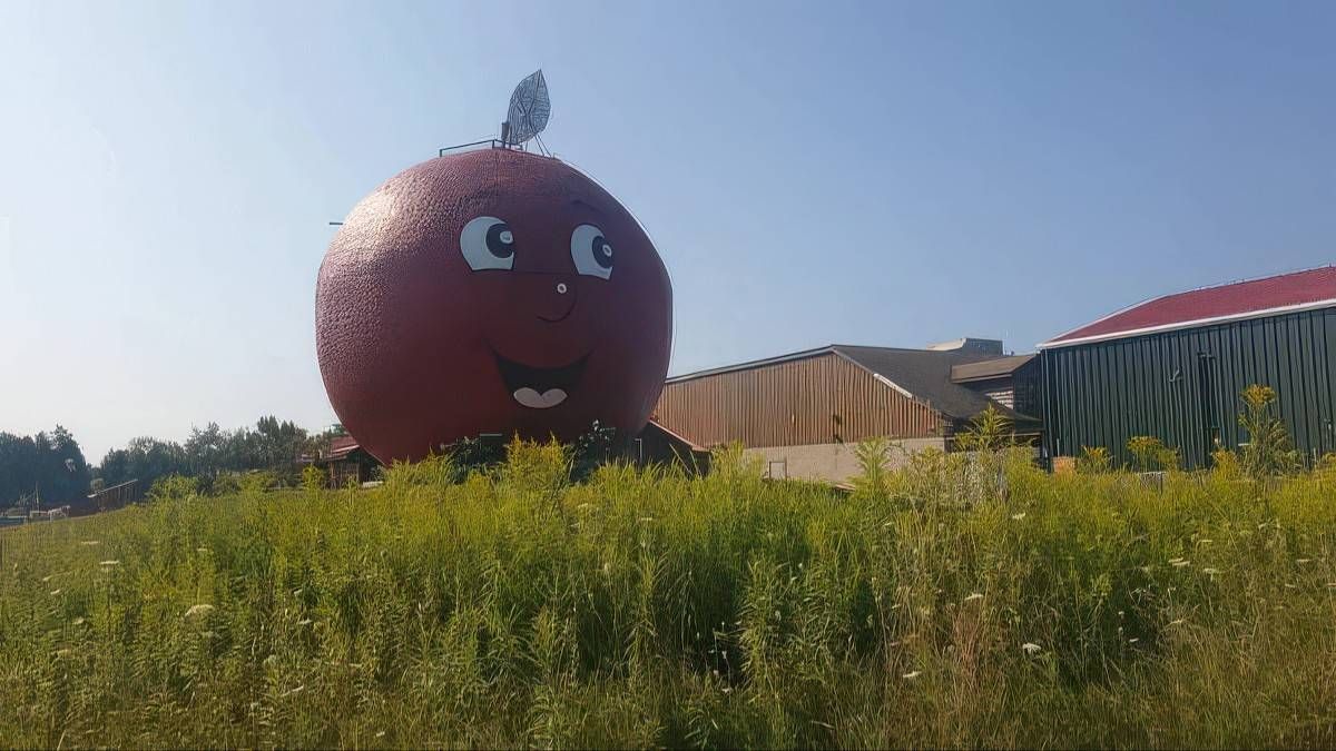 Gewoon een verzameling hilarische foto's #2052