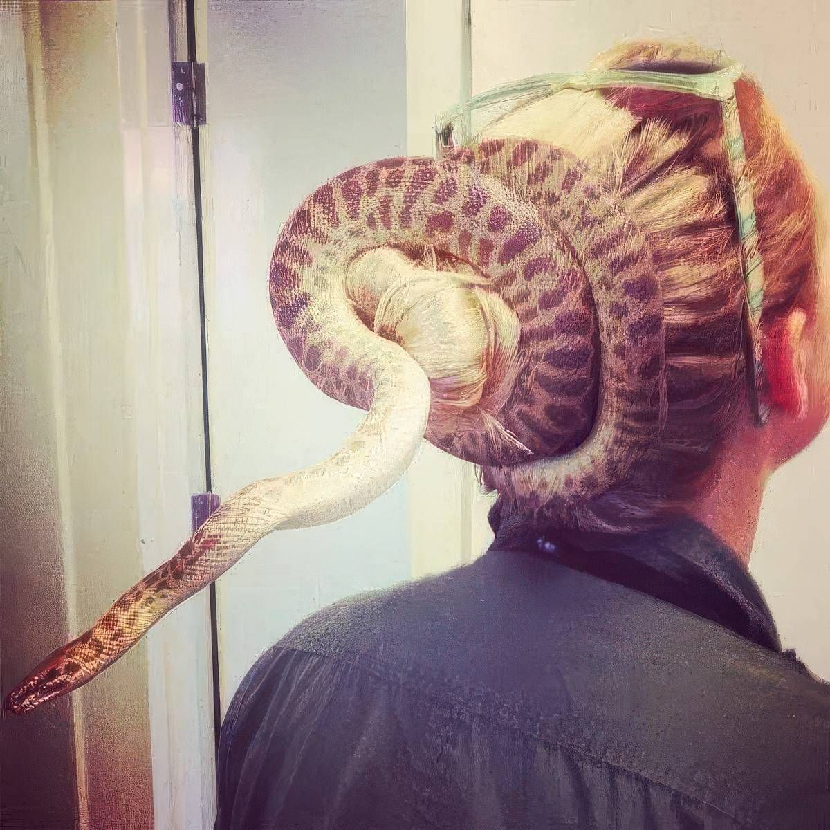 Gewoon een verzameling hilarische foto's #2052