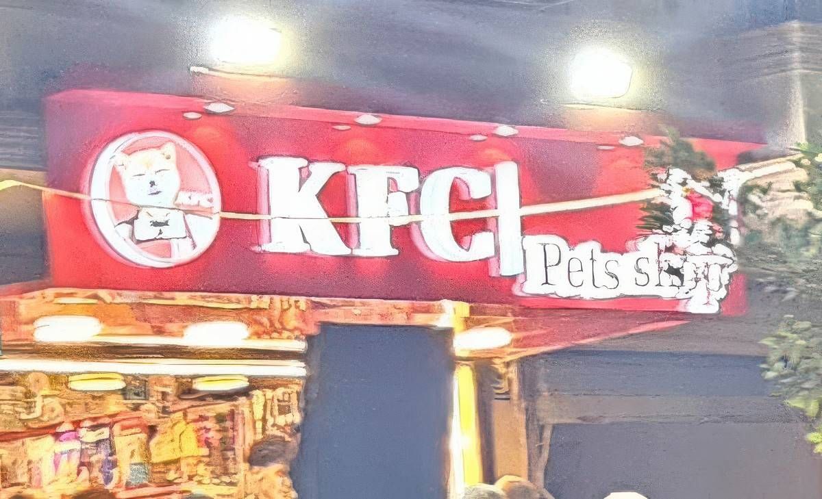 Gewoon een verzameling hilarische foto's #2054