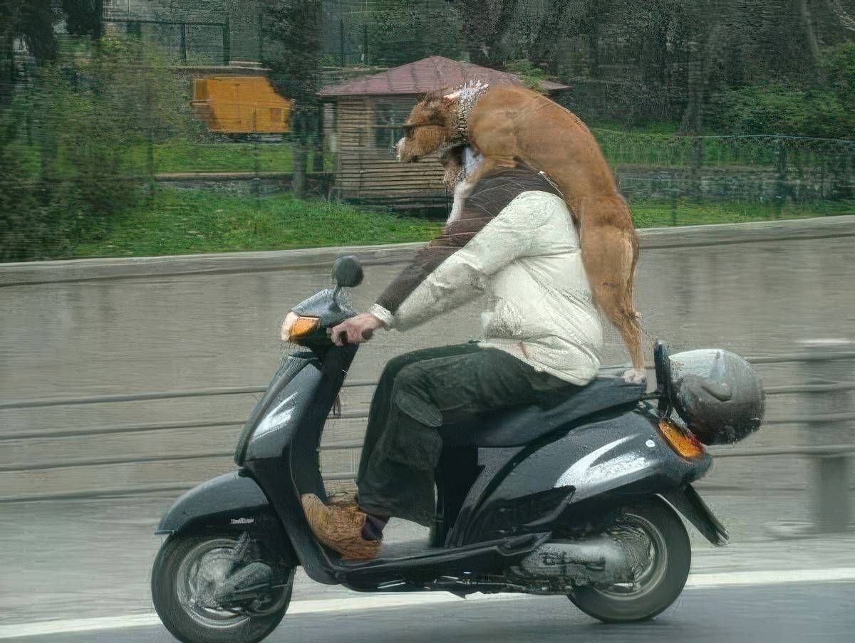 Gewoon een verzameling hilarische foto's #2055