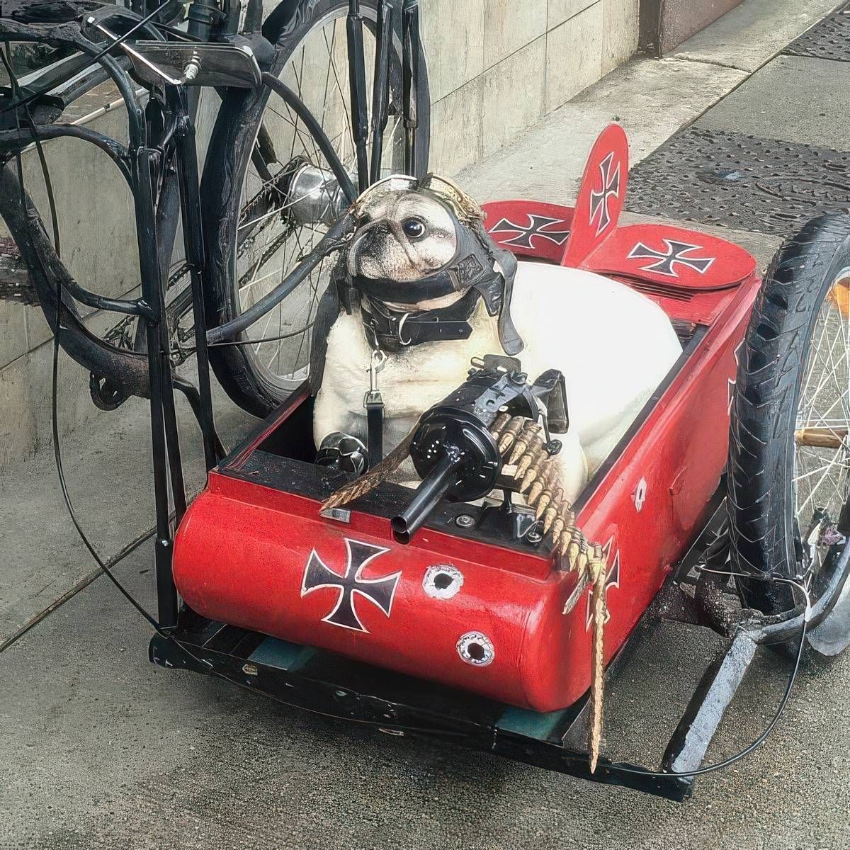 Gewoon een verzameling hilarische foto's #2055