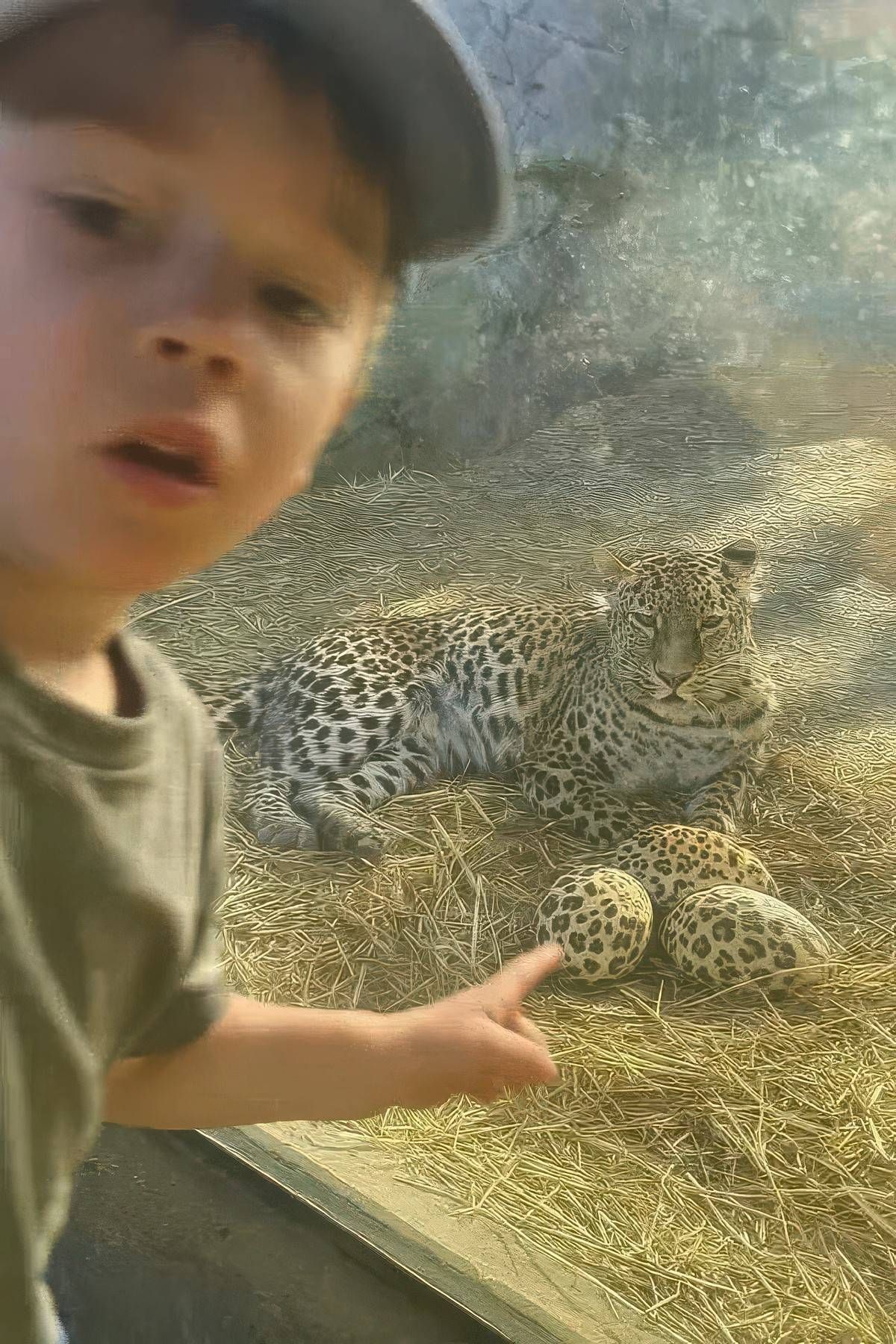 Gewoon een verzameling hilarische foto's #2055
