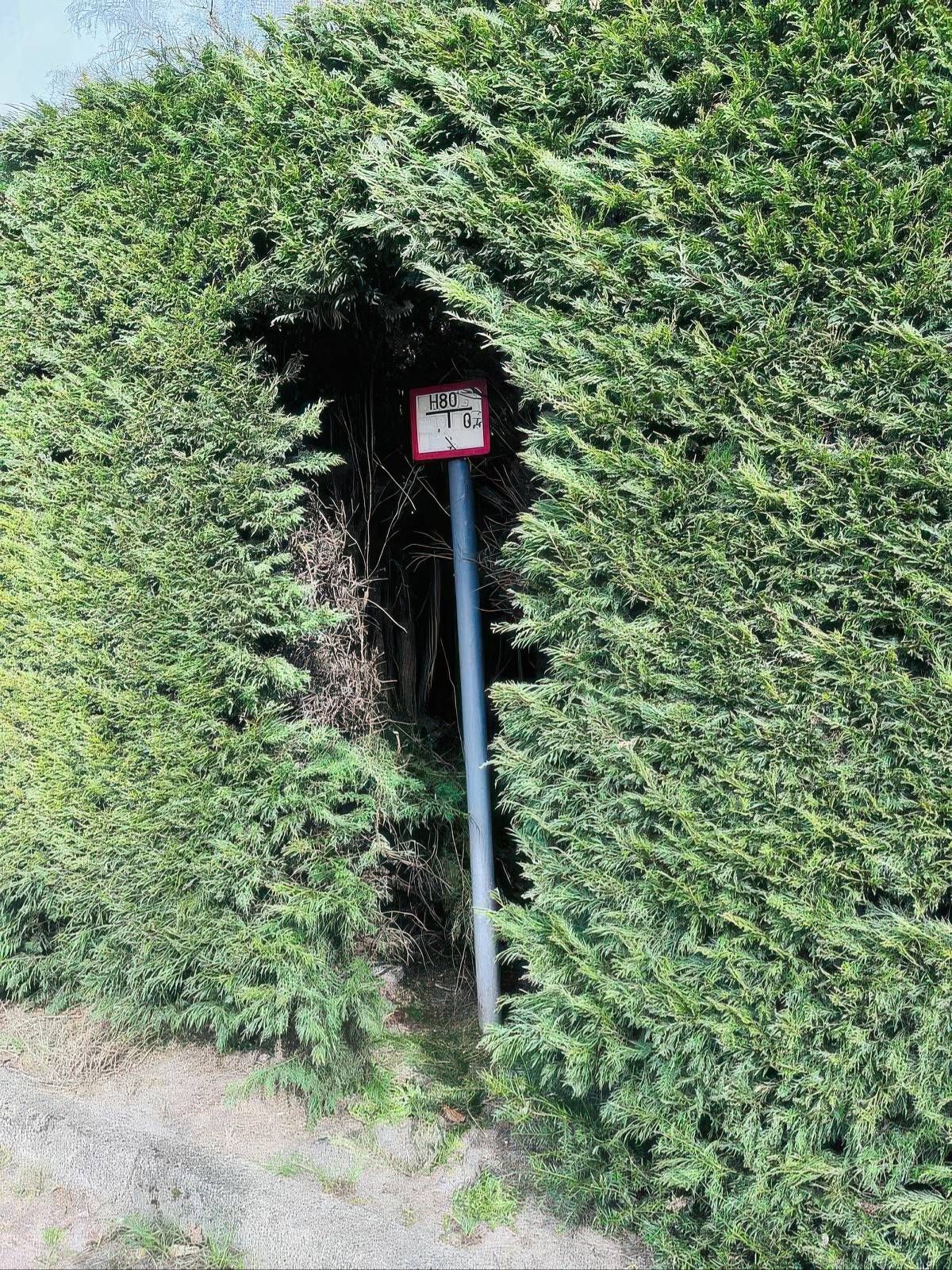 Gewoon een verzameling hilarische foto's #2055