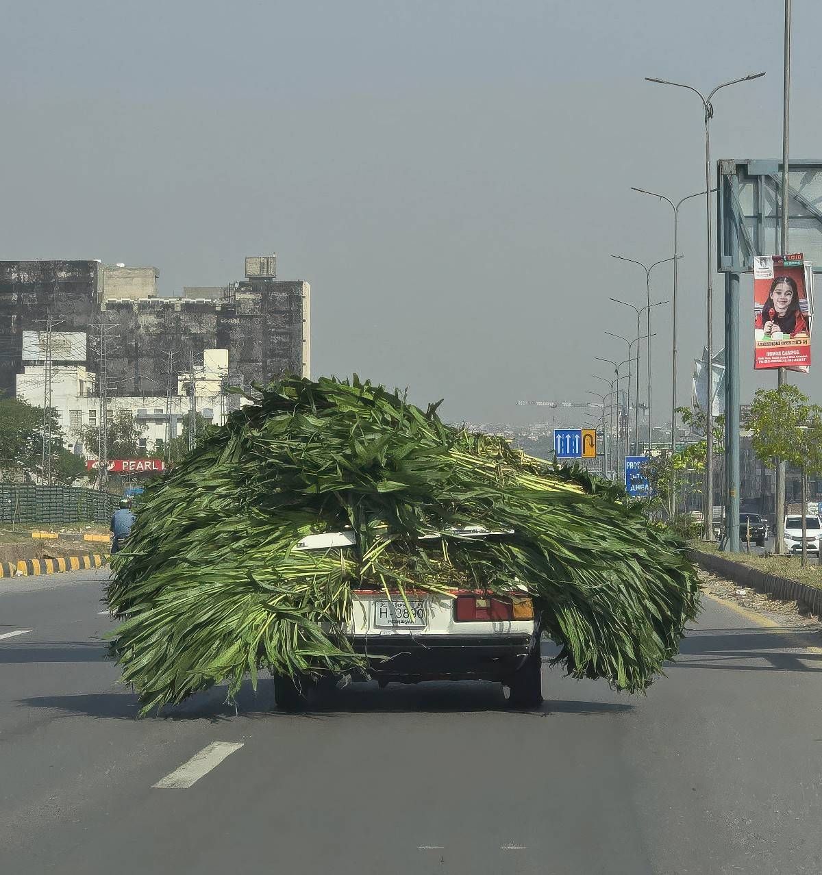 Gewoon een verzameling hilarische foto's #2055