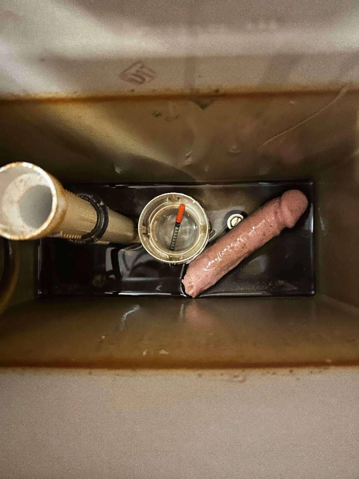Gewoon een verzameling hilarische foto's #2055