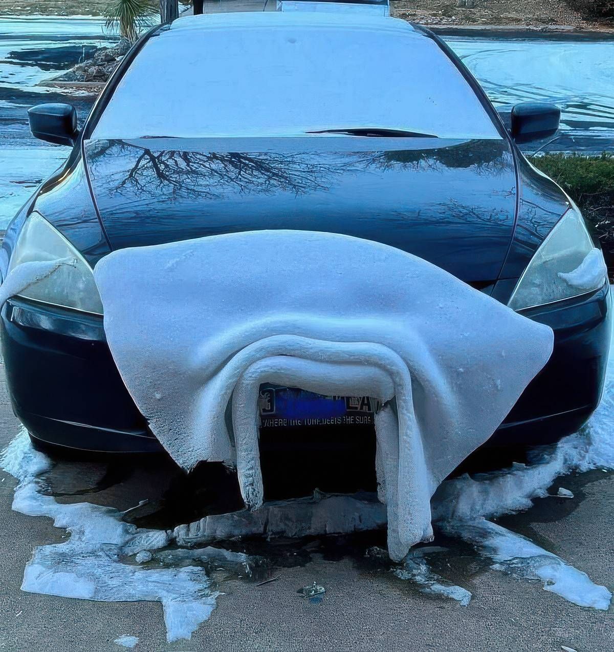 Gewoon een verzameling hilarische foto's #2056