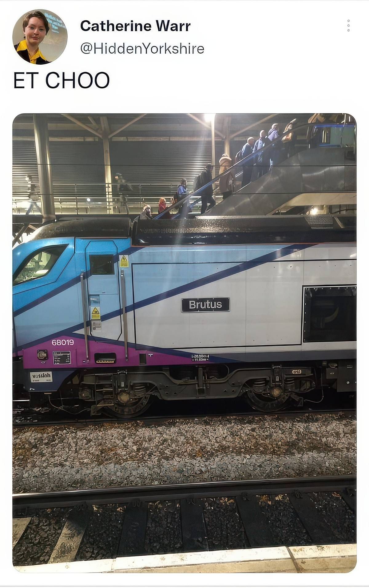Gewoon een verzameling hilarische foto's #2056
