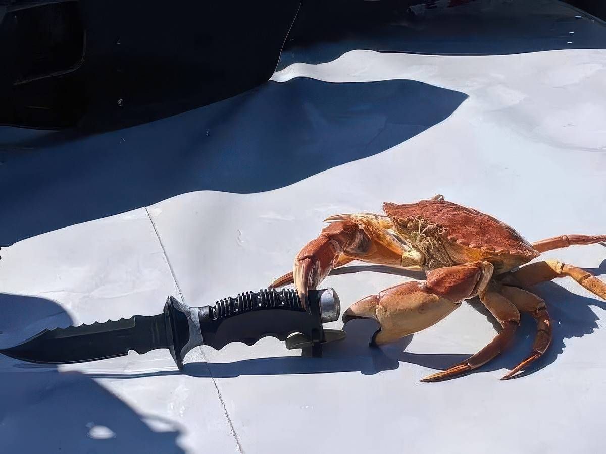 Gewoon een verzameling hilarische foto's #2057