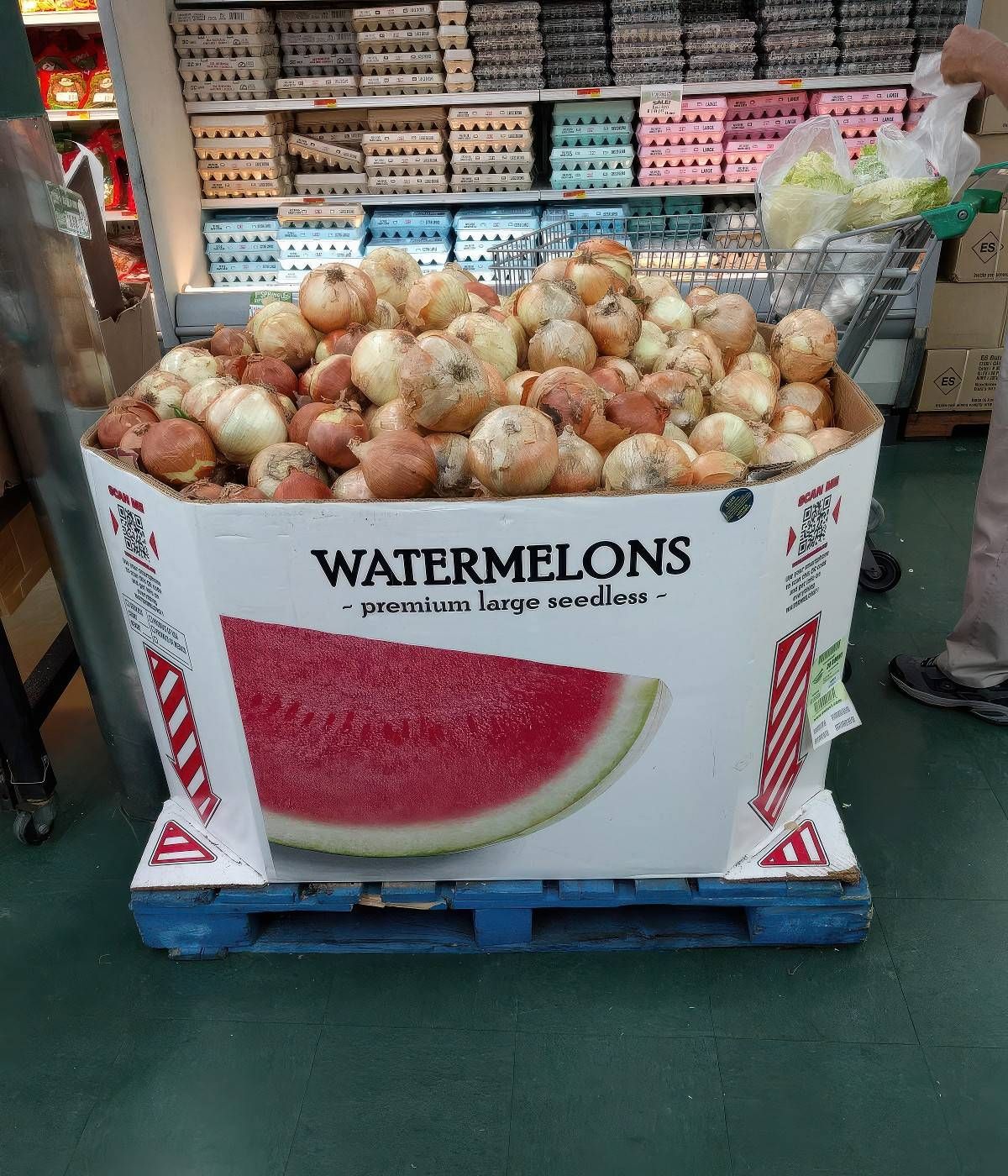 Gewoon een verzameling hilarische foto's #2057