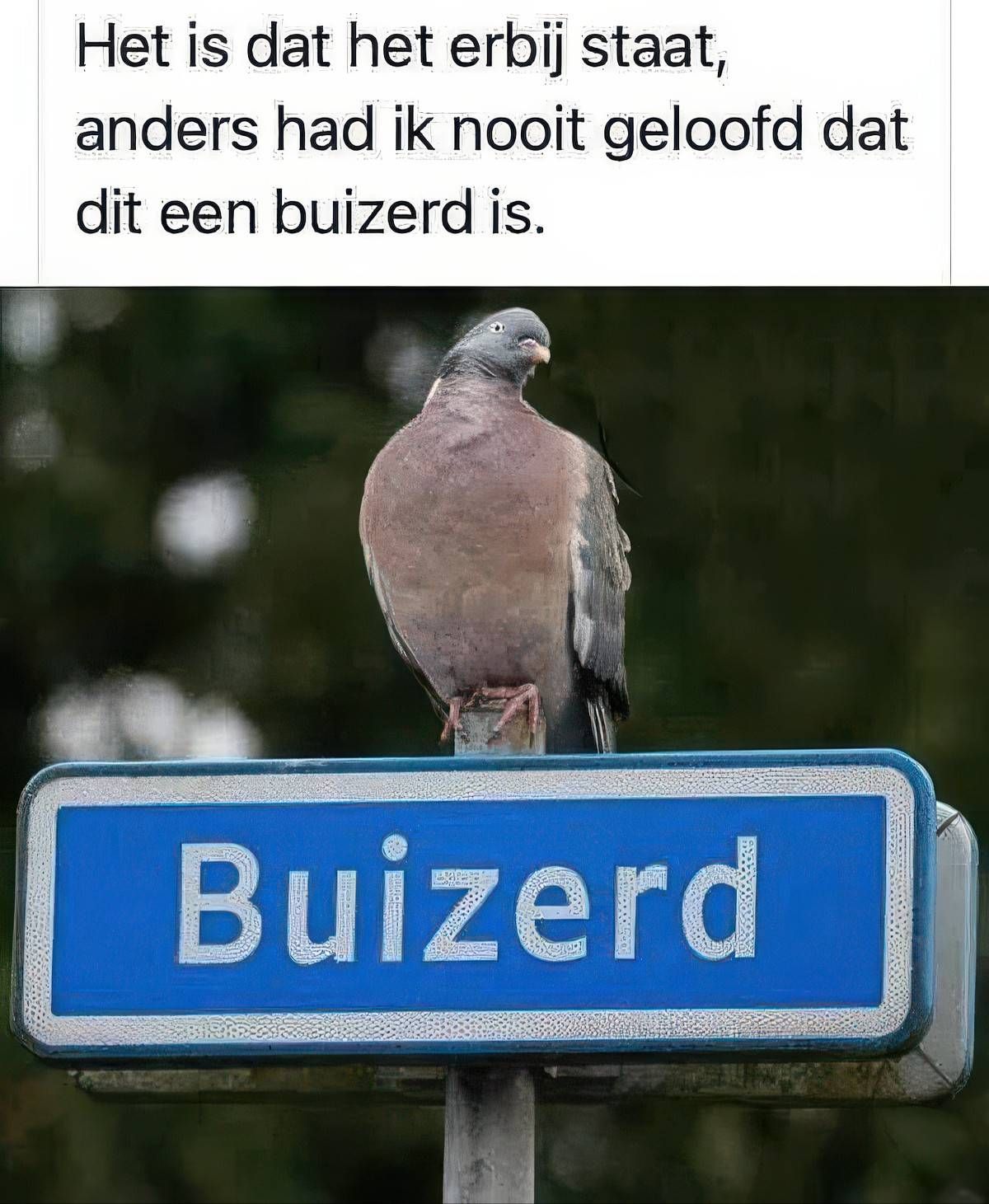Gewoon een verzameling hilarische foto's #2057