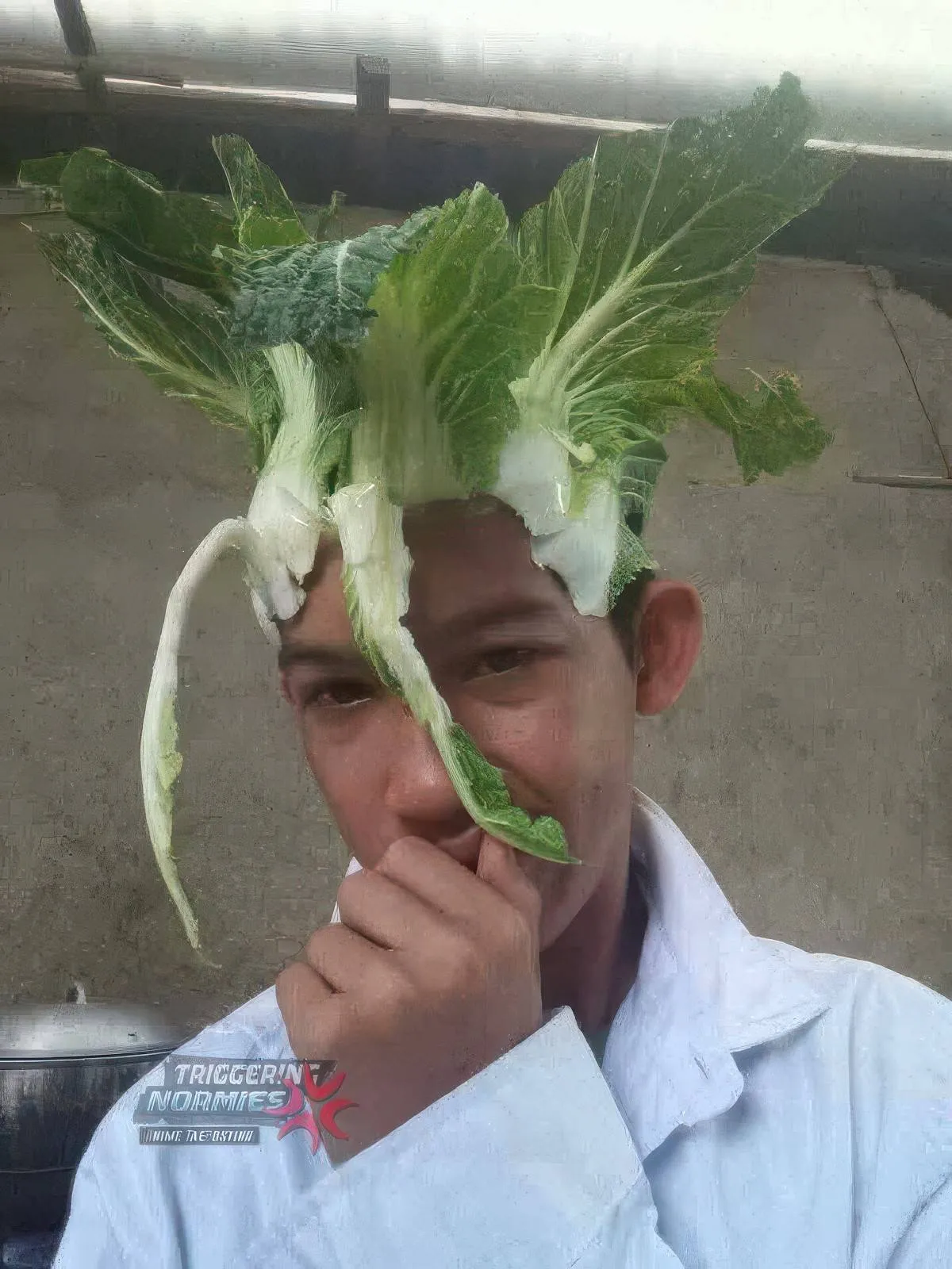 Gewoon een verzameling hilarische foto's #2058