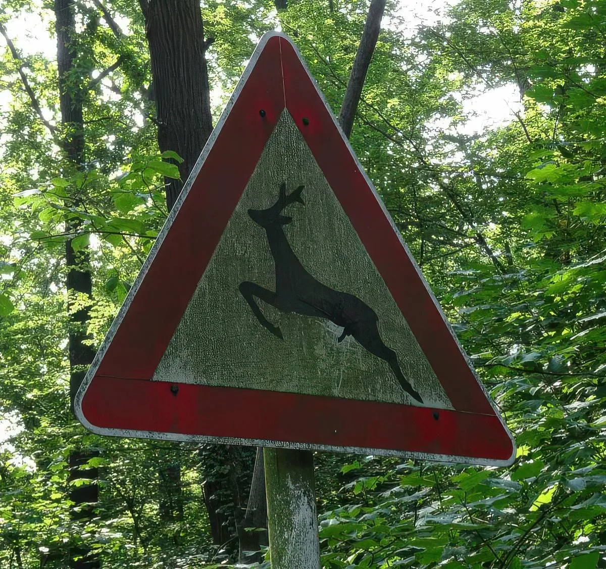 Gewoon een verzameling hilarische foto's #2058