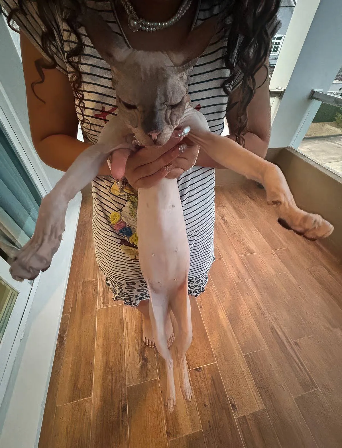 Gewoon een verzameling hilarische foto's #2058