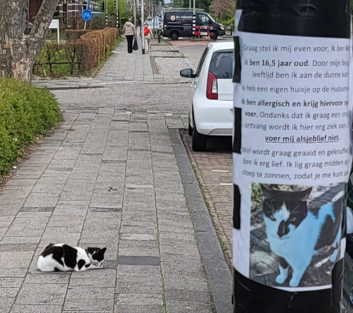 Gewoon een verzameling hilarische foto's #2058