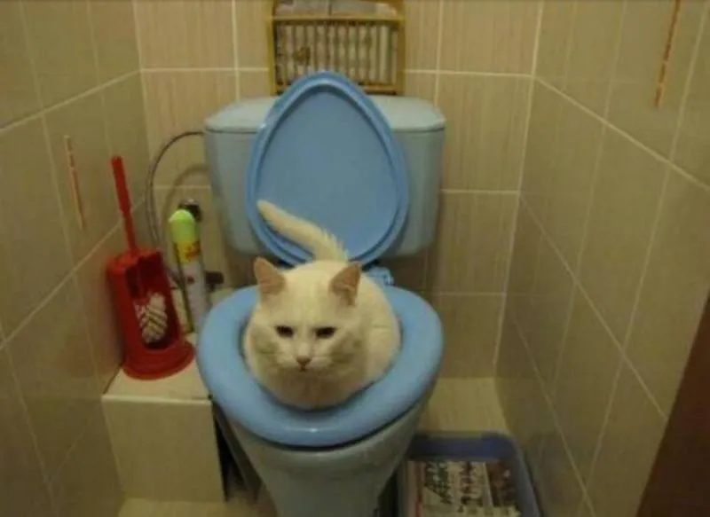 Gewoon een verzameling hilarische foto's #2065