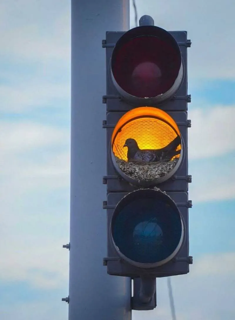 Gewoon een verzameling hilarische foto's #2063