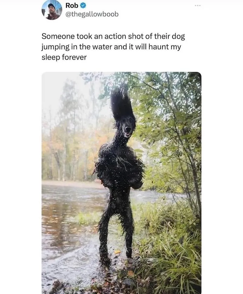 Gewoon een verzameling hilarische foto's #2063
