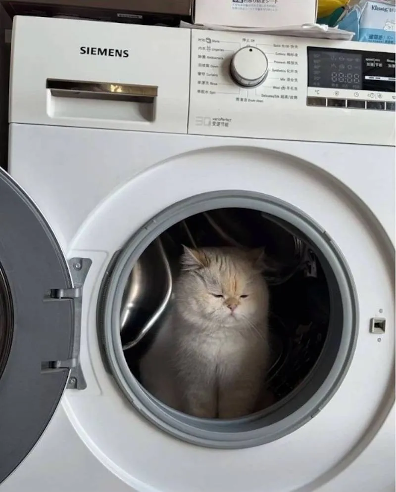 Gewoon een verzameling hilarische foto's #2063