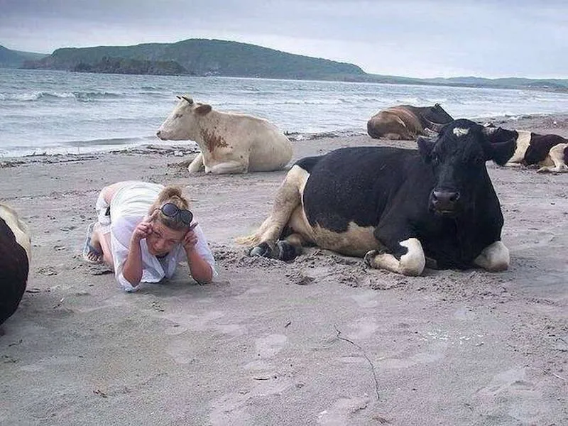 Gewoon een verzameling hilarische foto's #2065