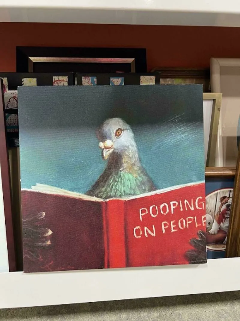 Gewoon een verzameling hilarische foto's #2063