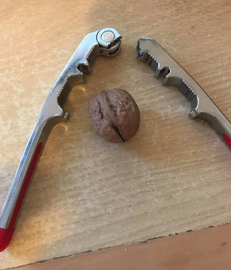 Gewoon een verzameling hilarische foto's #2065