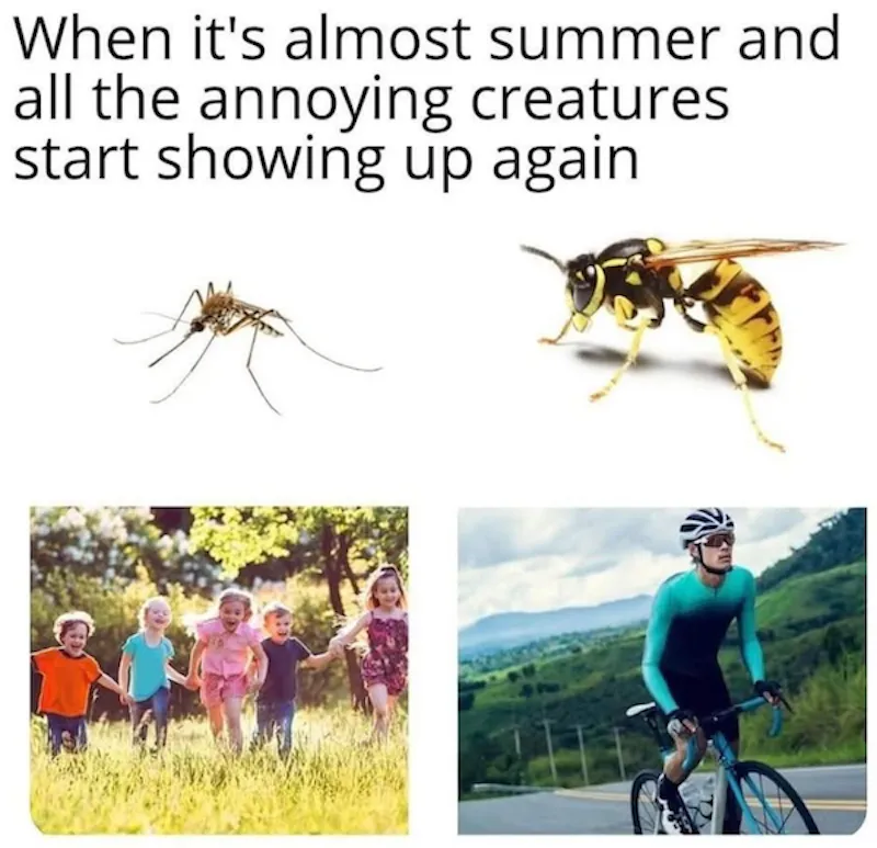 Gewoon een verzameling hilarische foto's #2065