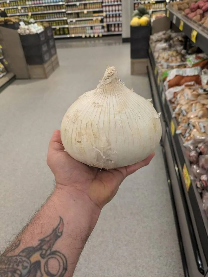 Gewoon een verzameling hilarische foto's #2065